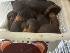 -菌之家·专业纯野生菌火锅·特色炒菌