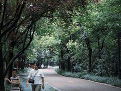 -禹州森林植物园