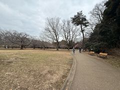 -井之头恩赐公园