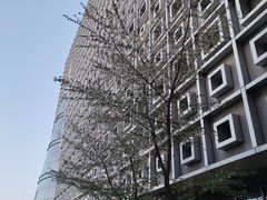 -必胜客(绿地新都会店)