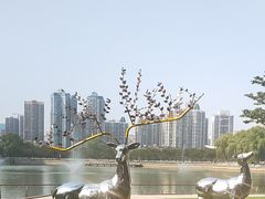 -西北湖绿化广场