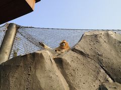 -武汉动物园