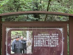 -牛背梁国家森林公园