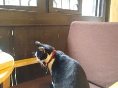 -猫的天空之城概念书店(杭州南宋御街店)