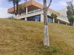 -THE PLAN_T COFFEE ROASTER(定岗湖公园店)