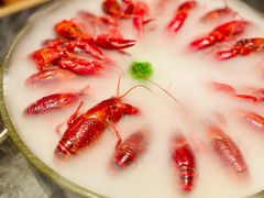 -红盔甲·小龙虾(长寿路店)