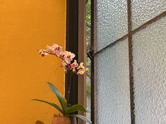 -灶咖KITCHEN
