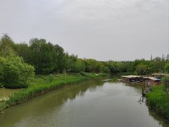 -上海长兴岛郊野公园