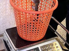 -邓莽子老火锅(中兴路总店)