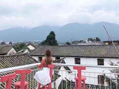 -喵屿·大理花园猫咖