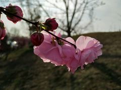 -意大利农场度假村