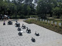 -广东惠东海龟国家级自然保护区