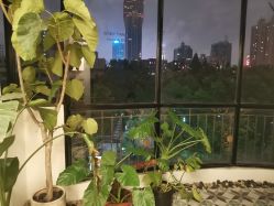 -Fancy梵汐·轻奢量肤定制