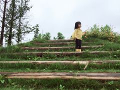 -前小桔亲子创意农场·草莓采摘·露营烧烤
