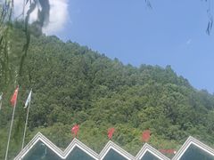 -牛背梁国家森林公园