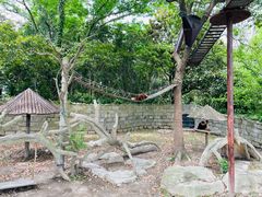 -上海野生动物园
