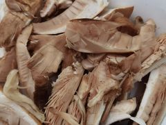 -蘑统田下·野生菌火锅