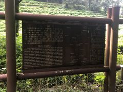 -龙井村