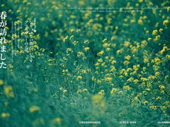 -梅岭铜源峡风景区