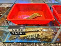 -聚福宝合苑食府(南头镇店)