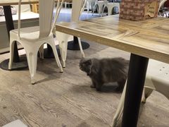 大堂-小时光咖啡馆(开森度假森林店)