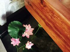 -碧露轩·大益茶体验馆(镇江路店)