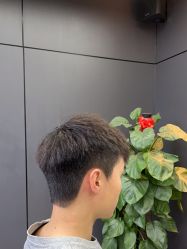 -藤野造型•烫染专业店
