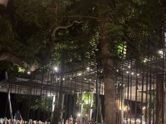 -网红落日悬崖餐厅 The Sky Gallery