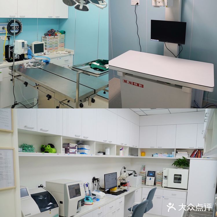 上海宠物医院良心推荐！！！！！！