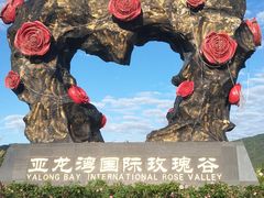 -亚龙湾国际玫瑰谷