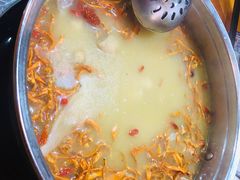 -淼福猪肚鸡·椰子鸡火锅(大沙地店)