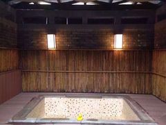 -春晖园度假酒店温泉