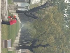 iphone_upload_pic-永定门公园