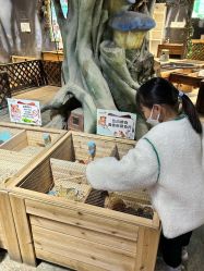 -酷嗒动物文化乐园(cutezoo西溪乐天城店)