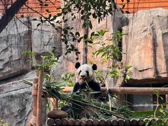 -灵玲国际马戏城