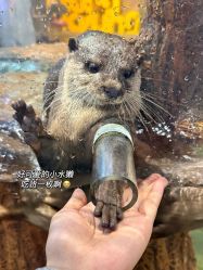 -Zoolung Zoolung动物主题公园(海信广场店)