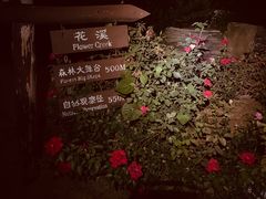 -鬼笑石后山停车场