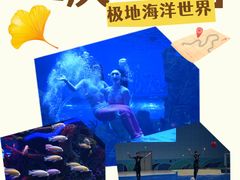 -石家庄极地海洋世界
