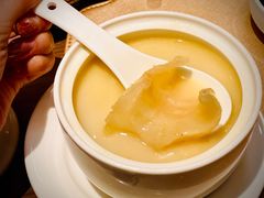 花胶汤-协成海鲜火锅(情侣路店)