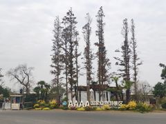 -上海长兴岛郊野公园