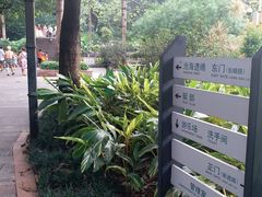 -晓港公园