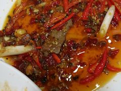 -西苑羊肉汤