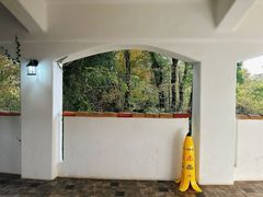 -济州森林小火车生态公园