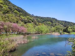 -宁波五龙潭景区