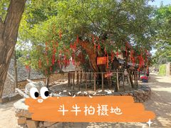 -红嫂家乡旅游区