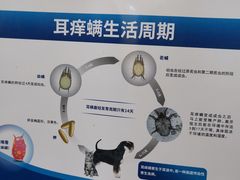 -佳雯宠物医院(信河分店)