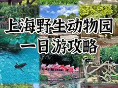 -上海野生动物园