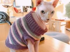 -猫和宫(六道口店)
