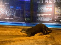 -洛阳龙门海洋馆