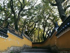 -普陀山风景名胜区-法雨禅寺